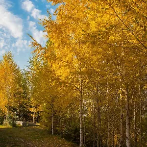 3* Отель Alpen Ville